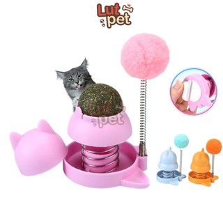 Catnip gắn tường, cỏ mèo dính tường kèm đồ chơi lò xo cho mèo - lutpet