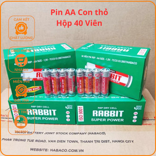 Hộp 40 pin AA và AAA CON THỎ (Pin AA to hơn pin AAA)