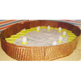 KHAY TẬP ĂN CHO GÀ CON BỘ 5 KHAY
