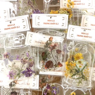 Set 10 sticker | Hoa Khô Trong Suốt (L) | trang trí sổ tay dán bìa thư, khung ảnh, ốp đt họa tiết dễ thương | Nắng Decor