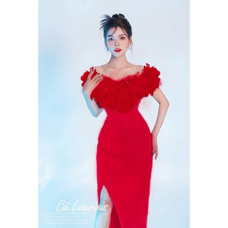 Đầm body trễ vai viền lông - Đi dự tiệc, dạo phố, cà phê, sinh nhật, đám cưới, hẹn hò, du lịch, chụp ảnh