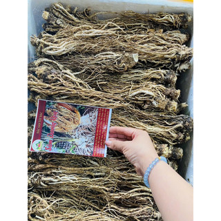 Sâm đương quy khô(Sâm quy sấy khô nguyên củ to ,thơm phức)nấu canh ,hãm trà,ngâm tửu cực chất