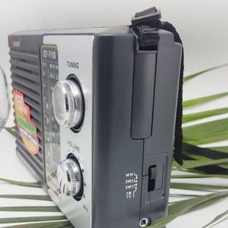 Radio Mason ICF - F100