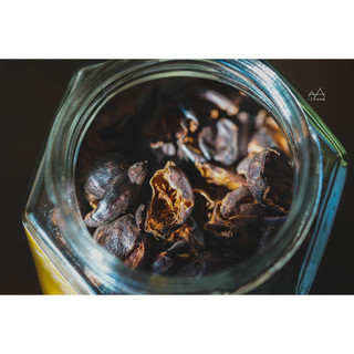 Trà CASCARA hữu cơ