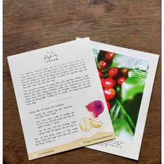 Trà CASCARA hữu cơ