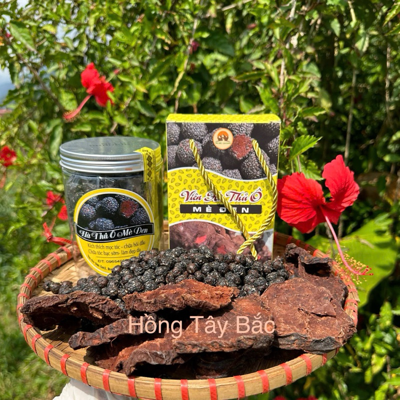 [CHÍNH HÃNG] Viên Hà Thủ Ô Mật Ong Rừng Vừng Đen Lai Châu (Tây Bắc 99)