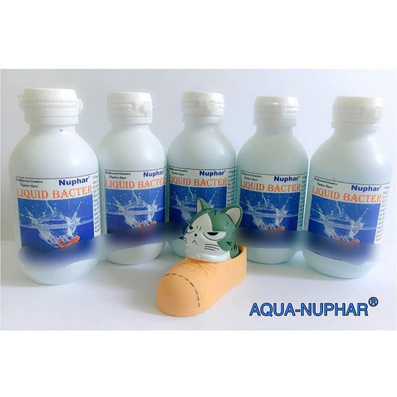 Nuphar Liquid Bacter - Chống Sốc Nước Cho Hồ Cá