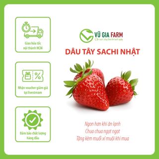 VG FARM Dâu Tây Đà Lạt Nhật Sachi Size 64 - có kèm muối chấm xí muội