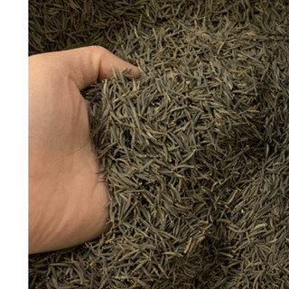 2.500 hạt Cúc sao nháy mix màu ( cúc bướm )