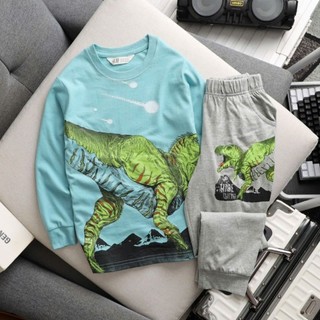 set bộ cotton dài tay Bé trai đại