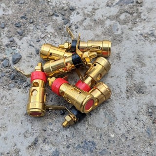 Jack cọc loa