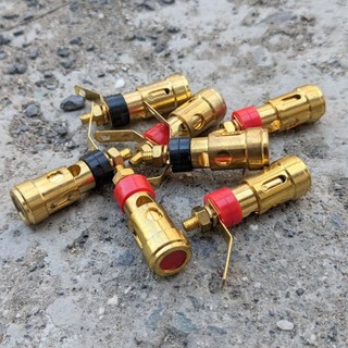 Jack cọc loa