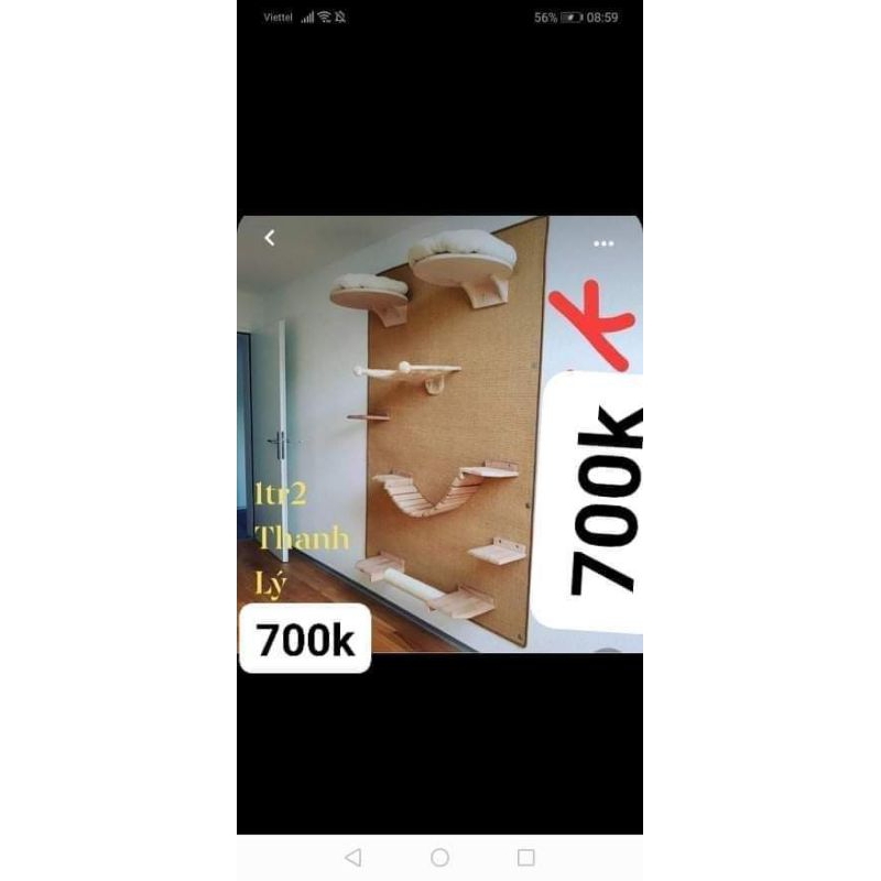 combo cattre tường cho mèo