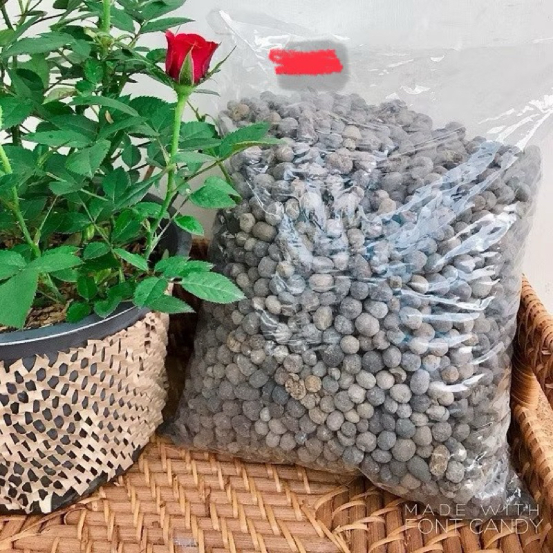 Phân Dê Đã Qua Xử Lý - Phân Dê Bón Hoa Lan (TÚI 1KG)
