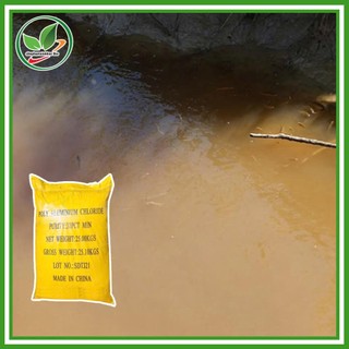 Chất trợ lắng bể cá, bể bơi PAC 31%. Bao 5kg