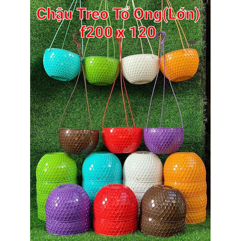 [Bán Sỉ] Chậu treo tổ ong Lớn