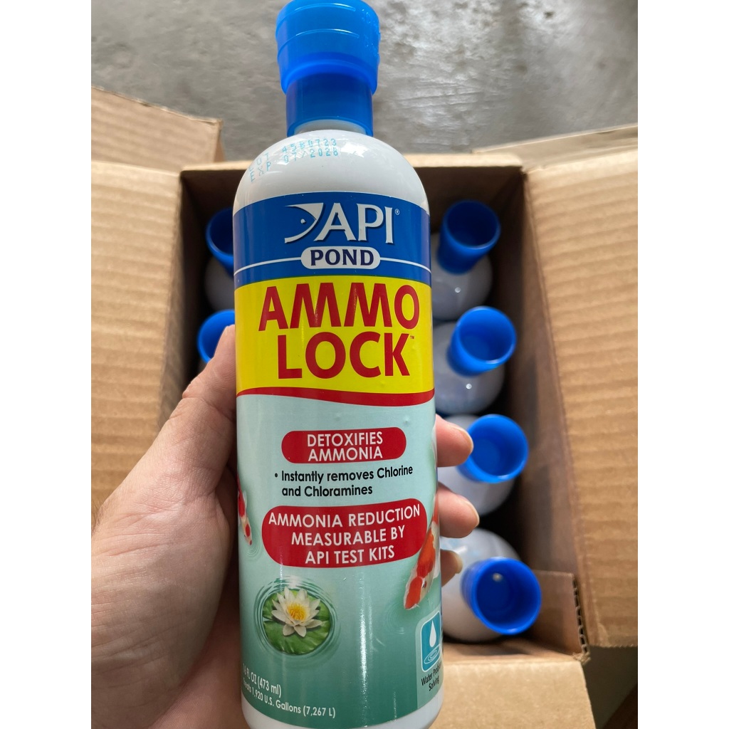 AMMO LOCK POND của API khử Amoniac trong bể cá ngay tức thì, giúp cá không bị ngộ độc Amoniac