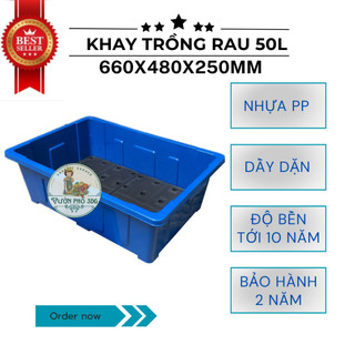 Khay trồng rau 50L, Chậu trồng rau thông minh 50L kích thước 660x480x250MM giá rẻ 4 mầu Xanh-Đen-GHi-Trắng