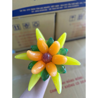 Rau câu liên hoa