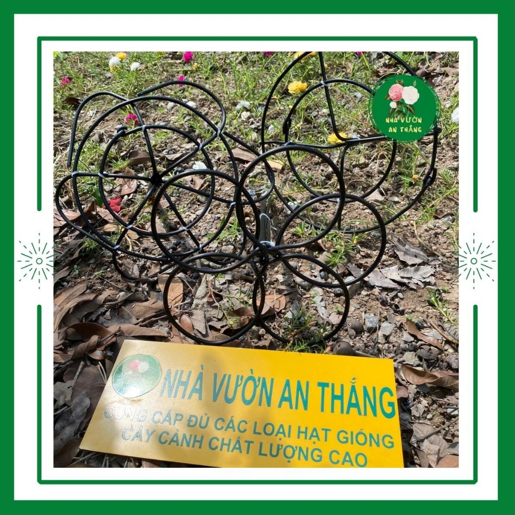 Khung giá đỡ cho hoa mười giờ bon sai bền siêu chắc chắn chống han rỉ