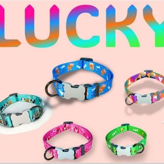 Dây dắt vòng cổ cho chó mèo Lucky bản 2,5cm