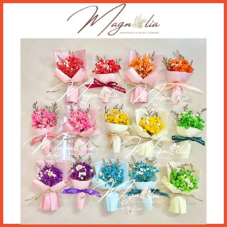 Bó Hoa baby Khô mini nhỏ cánh tiên đủ màu sắc dùng để trang trí