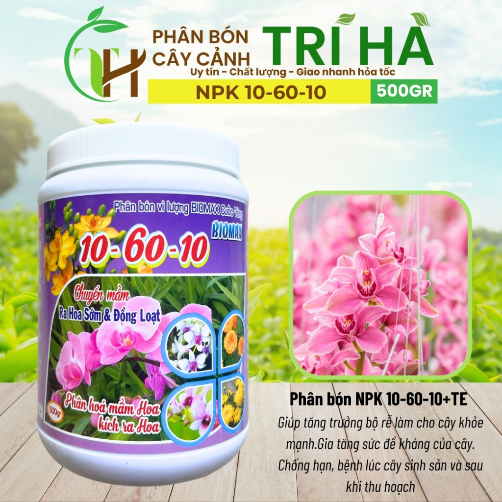 PHÂN BÓN NPK 10-60-10 + TE 500gr - RA HOA ĐỒNG LOẠT - TẠO MẦM HOA CỰC MẠNH - Phân Bón Cuốc Vàng
