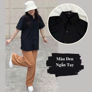 Áo sơ mi Cộc tay đuôi tôm chất đũi lụa - Áo sơ mi tay ngắn nữ công sở babic màu trơn