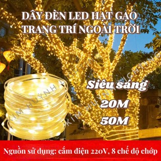 Dây đèn Led hạt gạo siêu sáng chống nước sử dụng ngoài trời decor trang trí Giáng Sinh Noen lễ Tết  cắm điện  