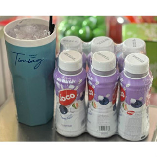 Lốc 6 Chai - Sữa Trái Cây Joco Vị Việt Quất Có Thạch 250ml - TH Lộc Phát