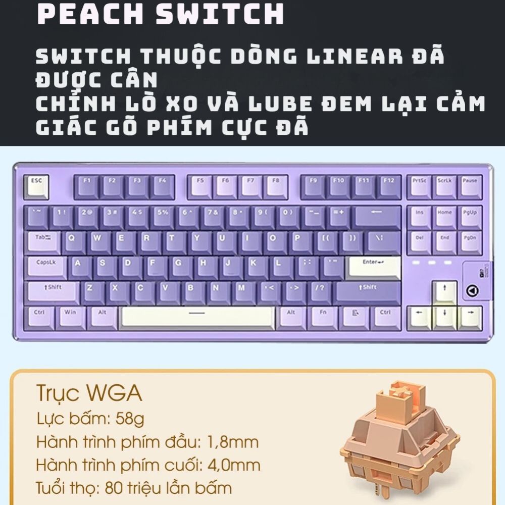 Bàn phím cơ không dây Y87 - 3 mode - Mạch xuôi 5 pin - App Marco - LED RGB - Full Foam | BigBuy360 - bigbuy360.vn