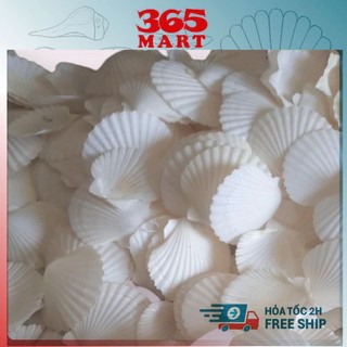 Vỏ sò điệp trắng 100g dùng làm đồ trang trí- phụ kiện thủy sinh