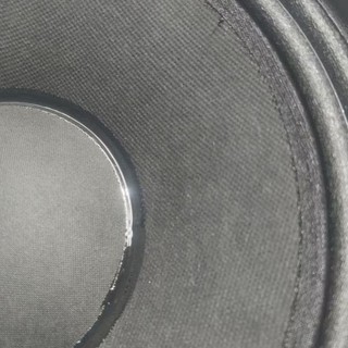 Loa Bas 25 ,Coil 65 Từ 156, 1 cái