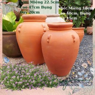  Chậu trồng cây chậu đất nung vintage hình cái bình size lớn Bông Garden House 