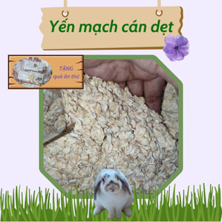 Yến mạch cán dẹt - đồ ăn vặt cho thỏ/bọ/sóc/hamster