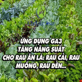 Kích thích sinh trưởng GA3 gói 5gr