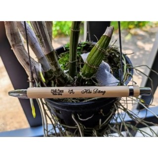 Bút bi vỏ gỗ khắc tên theo yêu cầu làm quà tặng