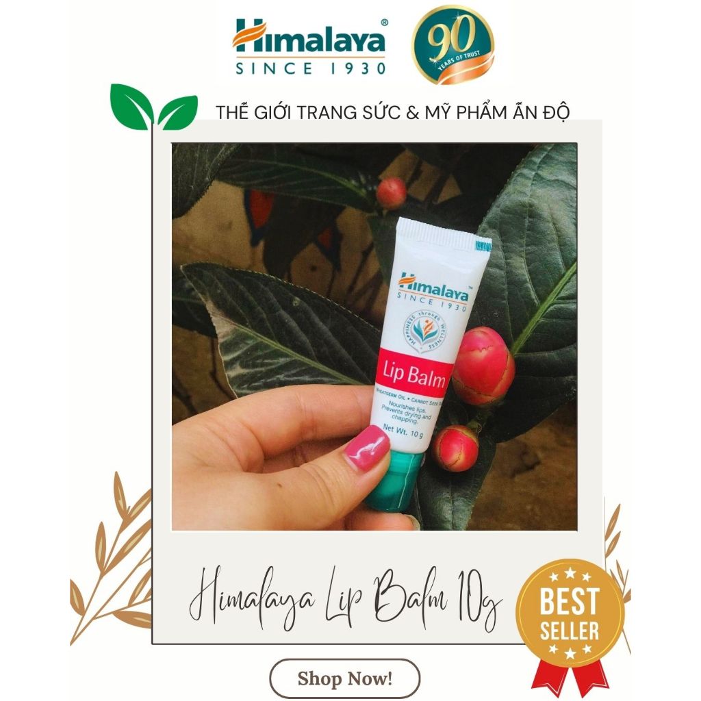 Son Dưỡng Himalaya 10g