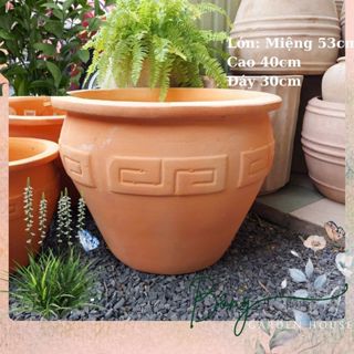 Chậu trồng cây, chậu đất nung size to màu vintage miệng loe Bông Garden House trồng cây cảnh lớn