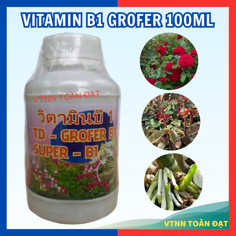 Phân Bón Vitamin B1 Thái Lan, Grofer Super Roots B1 (lọ 100ml)