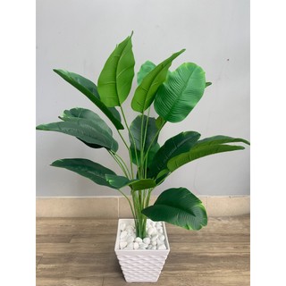 Combo 3 cây chuối 80cm, 18 lá - GL05 (chưa bao gồm chậu)