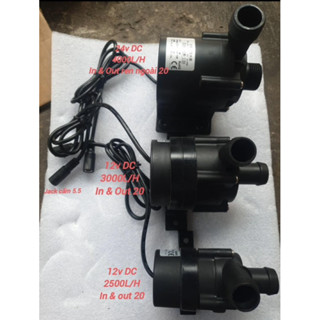 Máy bơm nước thả chìm 12v và 24v bơm không chổi than