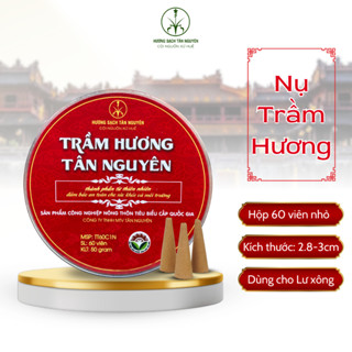Nụ trầm Tân Nguyên, trầm hương xông nhà, trầm nụ hộp 60 viên nhỏ dùng trong thiền định, thư giãn