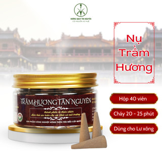 Nụ trầm hương Tân Nguyên, trầm hương nụ xông nhà, trầm nụ hộp 40 viên dùng cho thờ cúng, thiền định