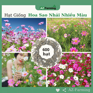 Hạt Giống Hoa Sao Nhái Mix Nhiều Màu - Gói 600 Hạt - AZ Farming