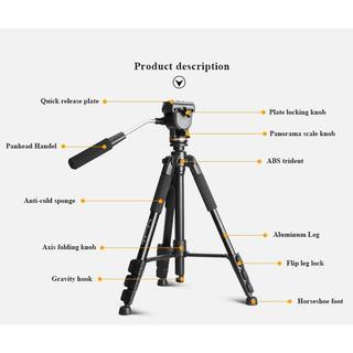 chân máy ảnh tripod  Beike Q111S