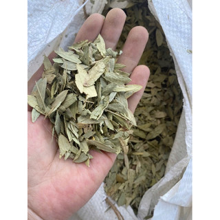 1 Kg Phan tả diệp khô nhuận tràng, hết lo táo bón