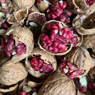 ÓC CHÓ ĐỎ 500G [ NHÂN TÁCH SẴN ]