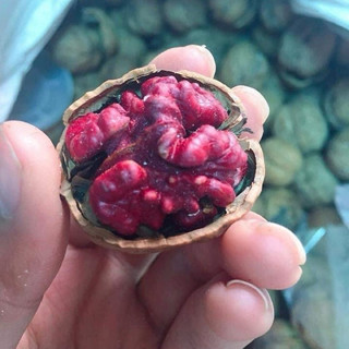 ÓC CHÓ ĐỎ 500G [ NHÂN TÁCH SẴN ]