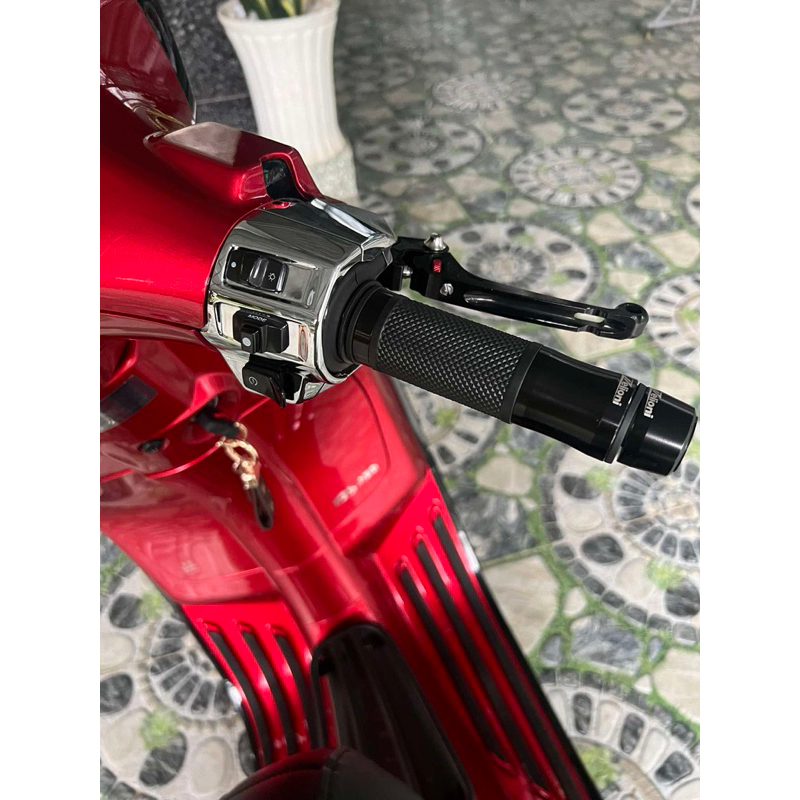 BAO TAY & GÙ VESPA KIỂU